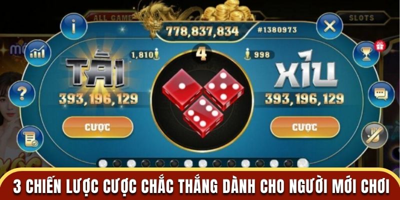 3 chiến lược cược chắc thắng dành cho người mới chơi