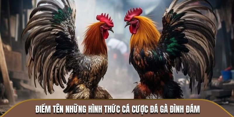 Điểm tên những hình thức cá cược đá gà đình đám