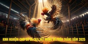 đá gà cựa sắt