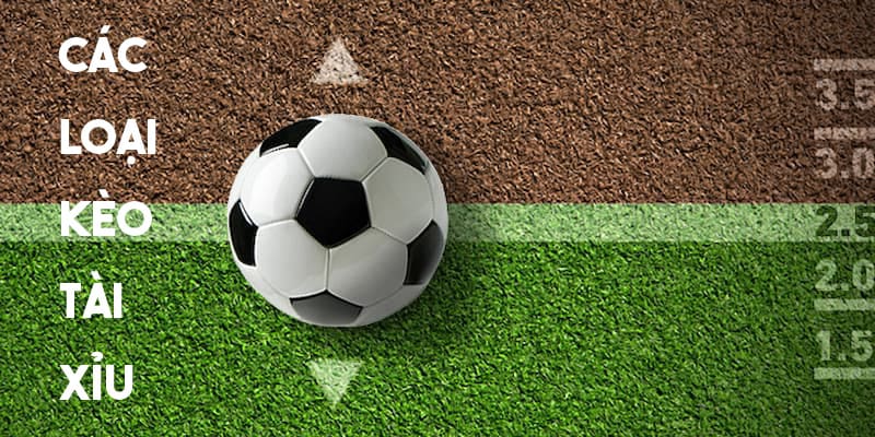 Một số lựa chọn kèo tài xỉu được ưa chuộng 