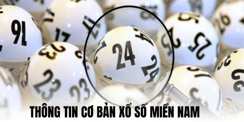 Những thông tin quan trọng XSMN bạn cần biết 
