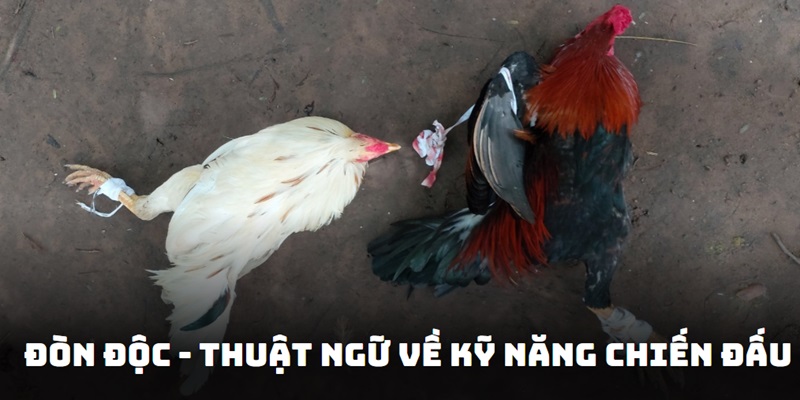 Tuyệt chiêu đòn độc luôn được đánh giá cao trong trận chọi