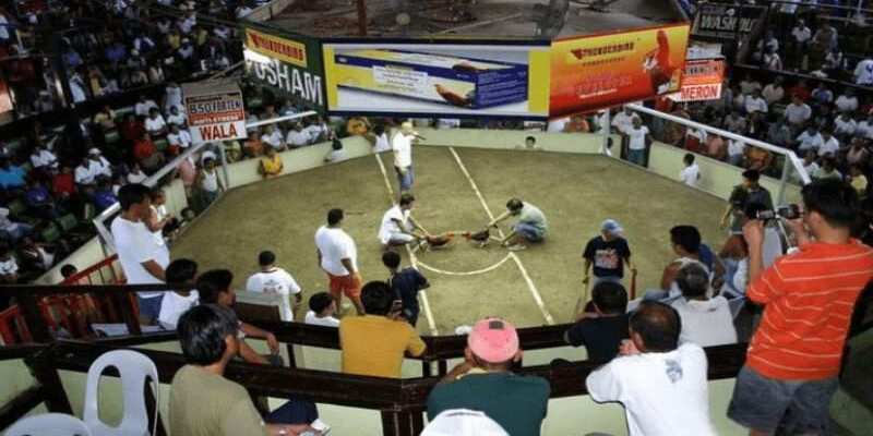 Các thông tin bạn cần biết về trường thi đấu Thomo