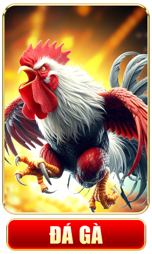 Đá gà 789P